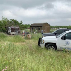 Hombre desaparecido en Texas fue comido por sus perros