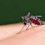 La malaria también sigue en aumento este año en el país