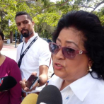 Cristina Lizardo dice Comité Político decidirá sobre bufetes de cámaras legislativas