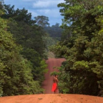Investigan la muerte de un cacique e invasión de tierra indígena en Brasil