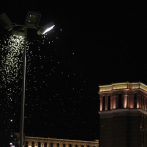 Millones de saltamontes invaden Las Vegas