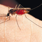 Feris Iglesias dice más de 30 niños con síntomas de dengue han muerto en Robert Reid