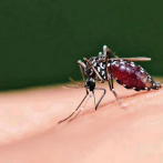 Dengue agresivo llama atención de médicos