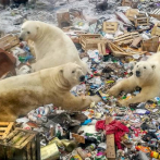 Hielo marino del Ártico cargado de microplásticos