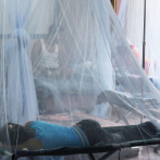 Aumenta a 101 la cifra de muertos por dengue hemorrágico en Honduras en 2019
