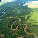 Cinco cosas a saber sobre la Amazonia, un tesoro amenazado por la deforestación y los incendios