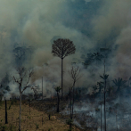 Voluntarios tratan de apagar incendio en selva boliviana