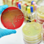 Terapias con luz podrían ser efectivas contra microorganismos resistentes a los antibióticos