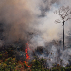 Fuego en la Amazonía, centro de preocupación ambiental y tensiones diplomáticas