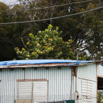 Hombre de 80 años se convierte en la primera víctima de Dorian en Puerto Rico