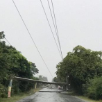 Ventarrón afectan viviendas tumba árboles y postes del tendido eléctrico en zona Norte de Santiago