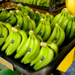 El calentamiento global pone en peligro el cultivo del plátano en los países productores en 2050
