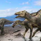 Descubren un nuevo hadrosaurio de Japón de hace 72 millones de años