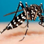 Comité confirma 27 muertes a causa de dengue en el país