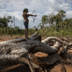Flechas y celulares: la vida de los tembé en la Amazonía