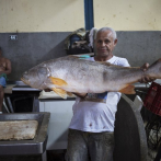 Samba, fruta y peces cautivan en mercado amazónico brasileño