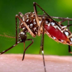 El 86% de los casos de malaria en el país provienen de los Tres Brazos