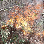Incendio avanza en parque nacional del noreste de Brasil