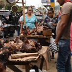 Santiago: Los vendedores de cerdo necesitarán certificado de la Alcaldía en Navidad
