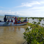 Una campaña educativa promoverá la conservación de los manglares