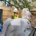 Vuelven los leones de la Biblioteca de Nueva York tras intensa restauración