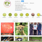 Zoológico gana el primer lugar en mejor campaña de Instagram