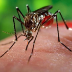 Detectan el primer caso de dengue por transmisión sexual