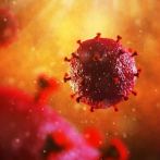 Investigadores consiguen evitar la infección por VIH en ratones con el virus en su organismo