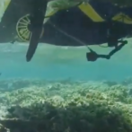 Australia emplea un robot para regenerar la dañada Gran Barrera de coral