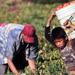 El 78% de las menores de 15 a 17 años trabaja en la informalidad en Ecuador