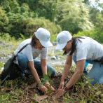 AES Dominicana y Fondos de Agua realizan segunda jornada de reforestación de la microcuenca Haina-Duey