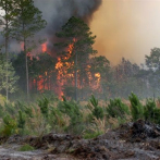Incendio forestal en Chile afecta unas 200 viviendas
