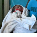 Menor de edad de nacionalidad haitiana es la madre del primer bebé nacido en Barahona