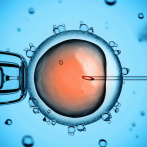 Fertilidad: Hacia la creación de gametos ‘artificiales’