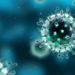 Un virus provoca primera muerte por fiebre hemorrágica en Brasil en 20 años