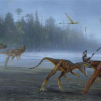 Nueva especie de dinosaurio carnívoro descubierto en Utah