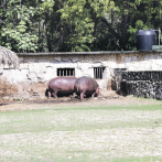 El Zoológico: Una selva en Santo Domingo