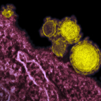 Estudio revela vía secundaria de transmisión de coronavirus por materia fecal
