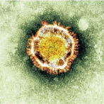 ¿Cómo llamarlo sin estigmatizar? La OMS busca nombre al nuevo coronavirus