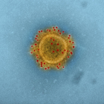El periodo de incubación del coronavirus podría ser de 24 días