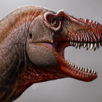 Nueva especie de dinosaurio supredepradador identificada en Canadá