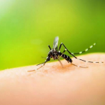El dengue y la malaria presentan alta incidencia en lo que va de año