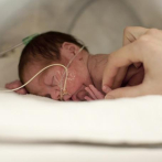 Los científicos hallan una manera de ayudar a los bebés prematuros a respirar mejor y combatir infecciones