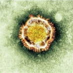 Así va la expansión por todo el mundo del nuevo Coronavirus