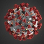 Nueva York confirma 4 nuevos casos de coronavirus, elevando a 6 el total