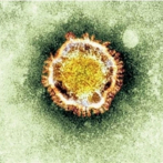 Embajada de China en RD dice está dispuesta a colaborar con el país para contrarrestar coronavirus