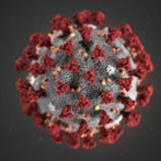 Al menos 243.637 muertos en el mundo por coronavirus