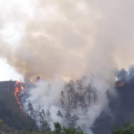 Se registra otro incendio forestal en Constanza