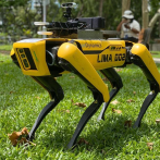 Un perro-robot mantiene en Singapur la distancia social en los parques
