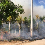 Incendio afecta una zona ganadera en Higüey